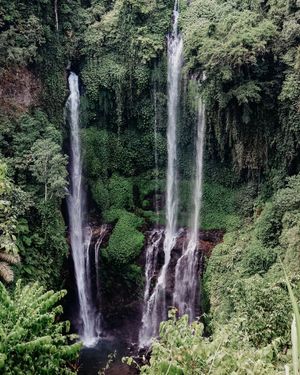 Sekumpul waterfall tour